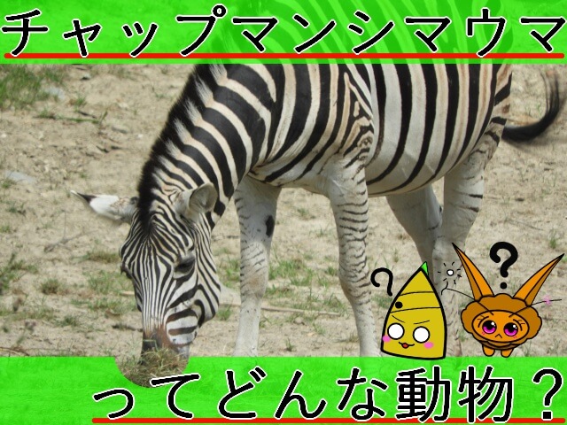 Thumbnail of post image 070